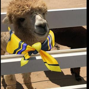 Meet your Posher, Ethan